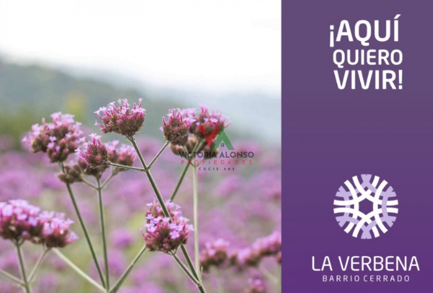 TERRENO EN VERBENA - SALTA