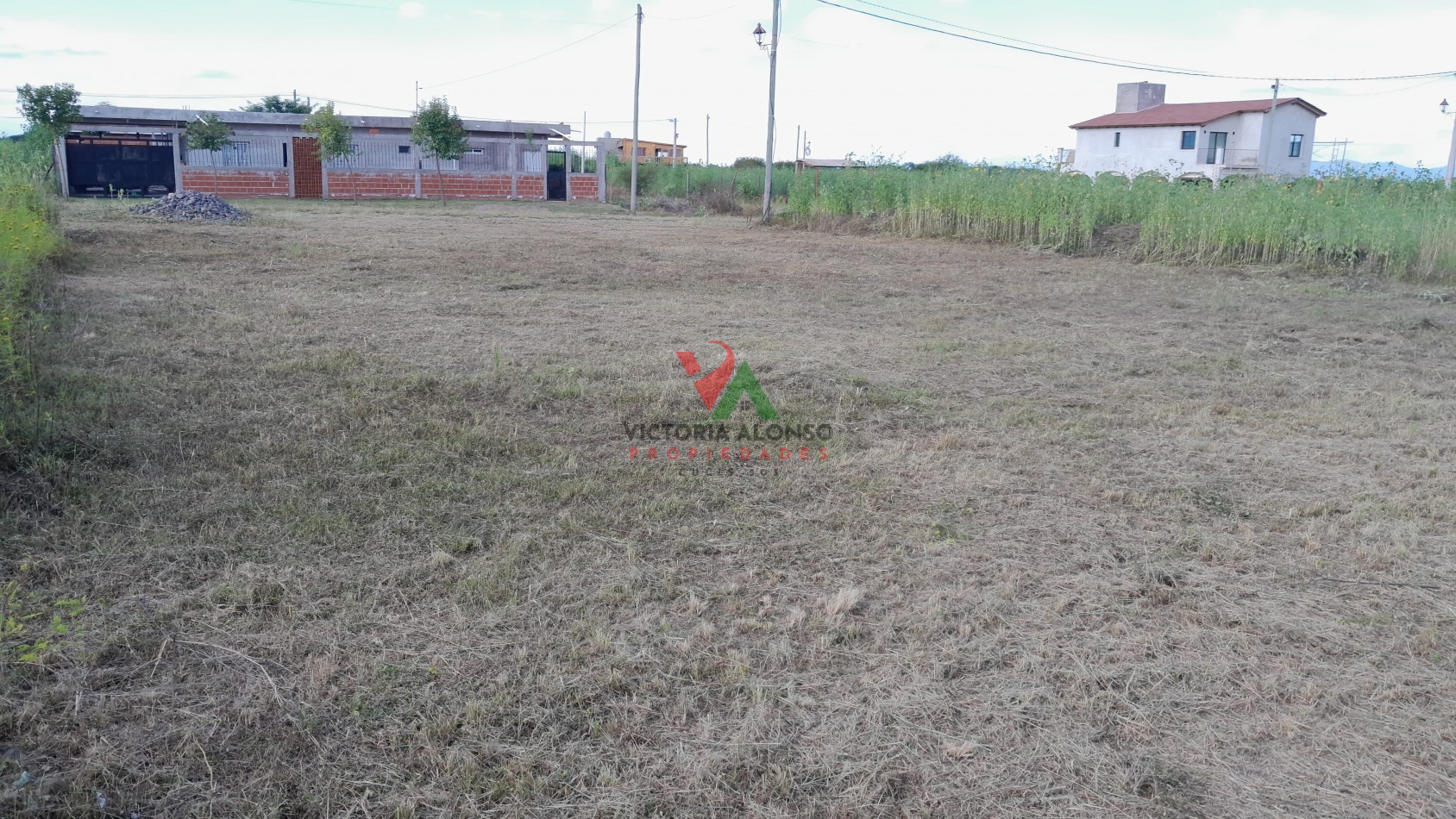 TENENO EN POTREROS DE QUIJANO